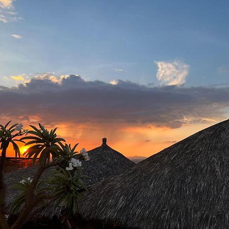 Casa Carmona 33 Hotel Querétaro Екстериор снимка